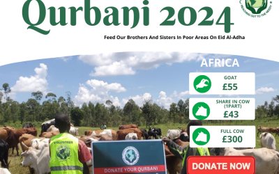 Green Minimalist Open Donation for Qurbani Eid Al-Adha Facebook Post (2)